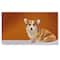 6 Pack: Dog Paintings Diamond Art Kit by Make Market®